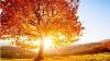 Beautiful Relaxing Hymns Peaceful Instrumental Music Golden Autumn Morning Sunrise By Tim Janis