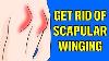 How To Fix Scapular Winging Fast Without Equipment